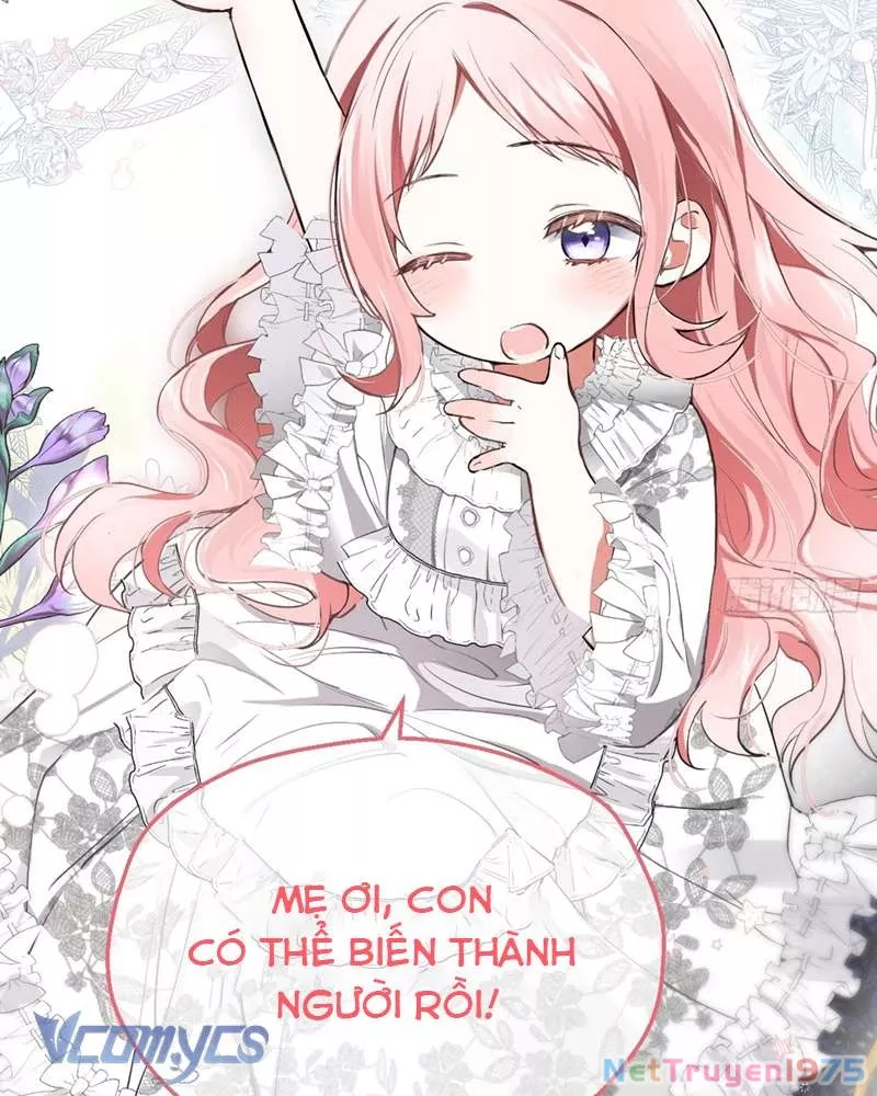 Cô Ấy Sẽ Thuần Hóa Các Anh Hùng: Chapter 0