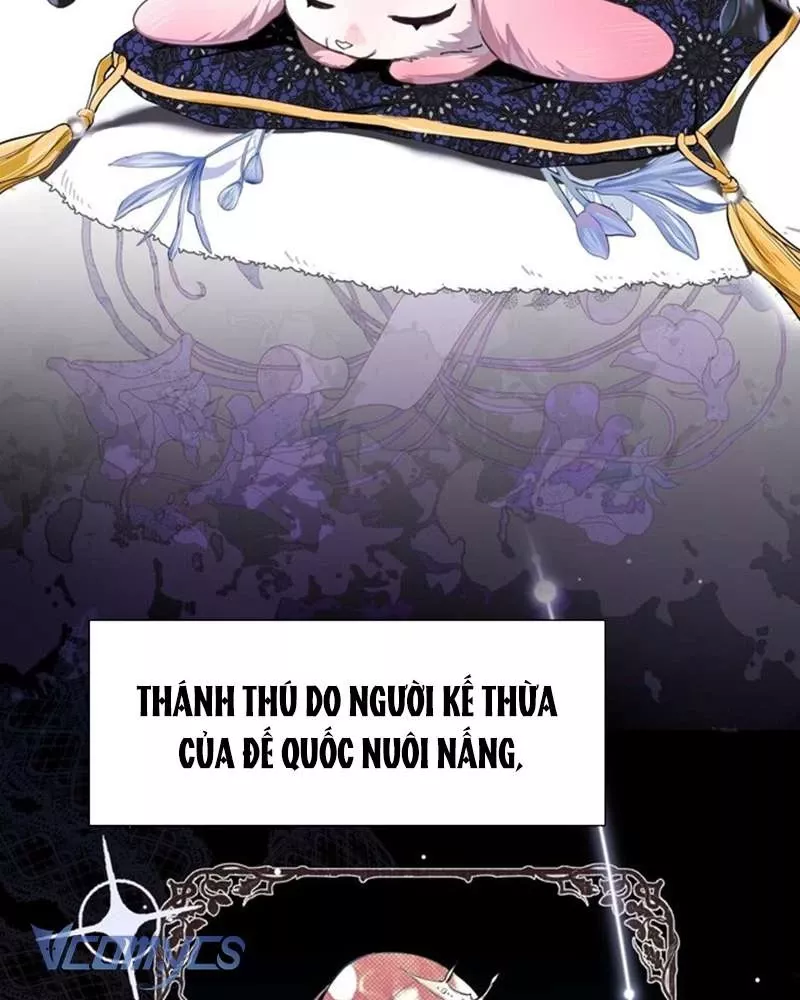 Cô Ấy Sẽ Thuần Hóa Các Anh Hùng: Chapter 1