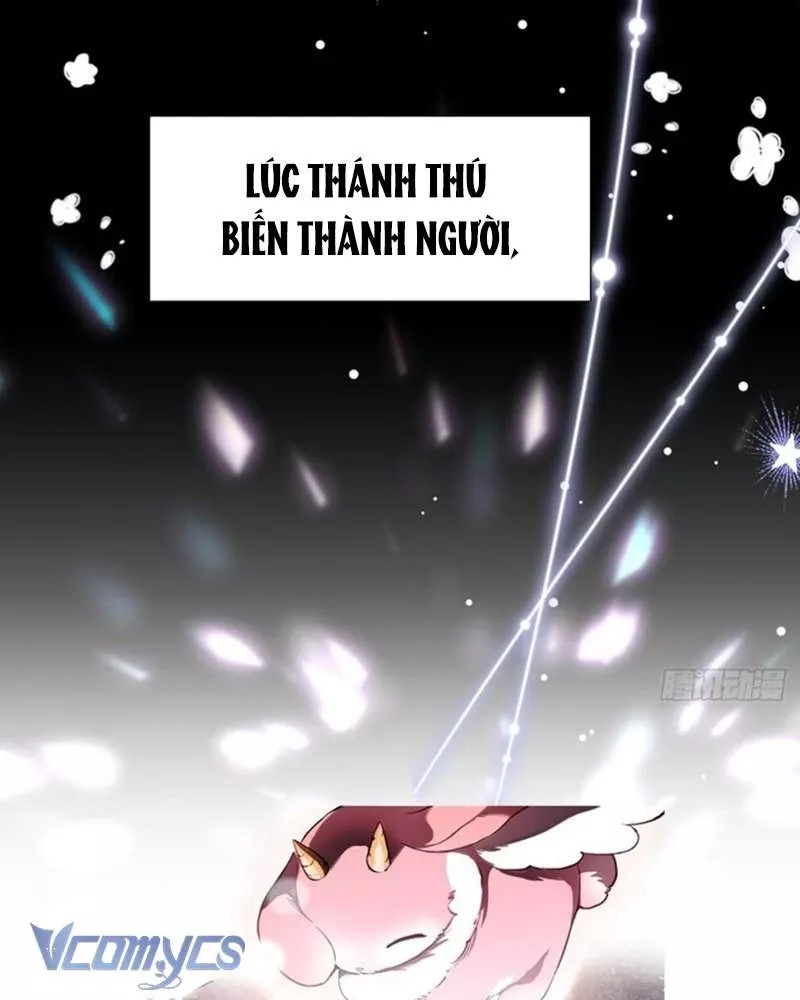 Cô Ấy Sẽ Thuần Hóa Các Anh Hùng: Chapter 1