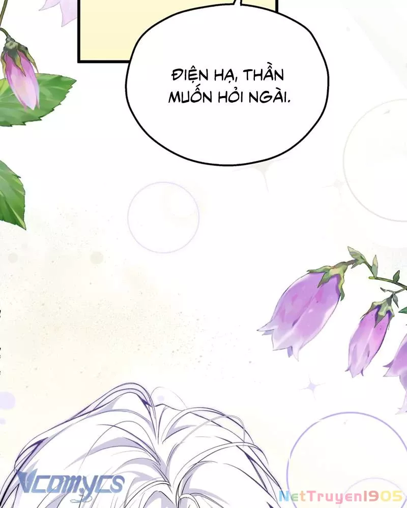 Cô Ấy Sẽ Thuần Hóa Các Anh Hùng: Chapter 12