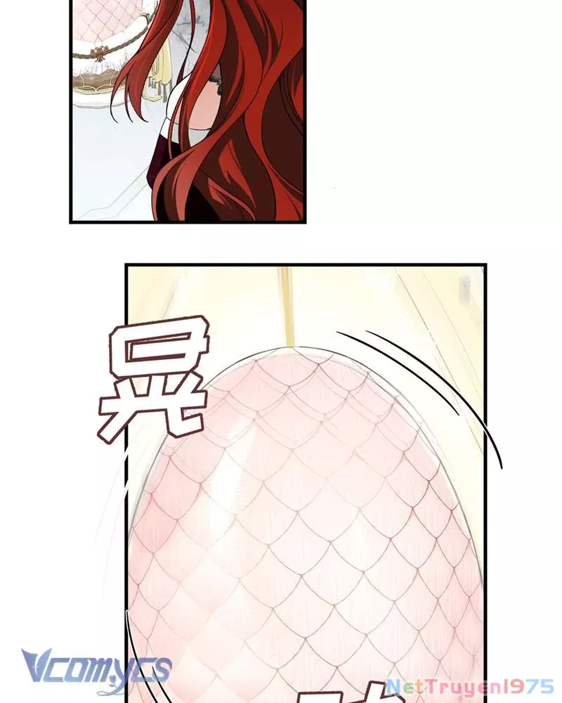 Cô Ấy Sẽ Thuần Hóa Các Anh Hùng: Chapter 4