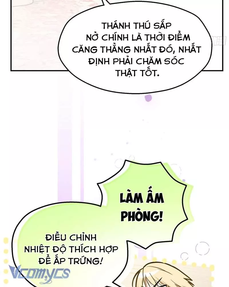 Cô Ấy Sẽ Thuần Hóa Các Anh Hùng: Chapter 5