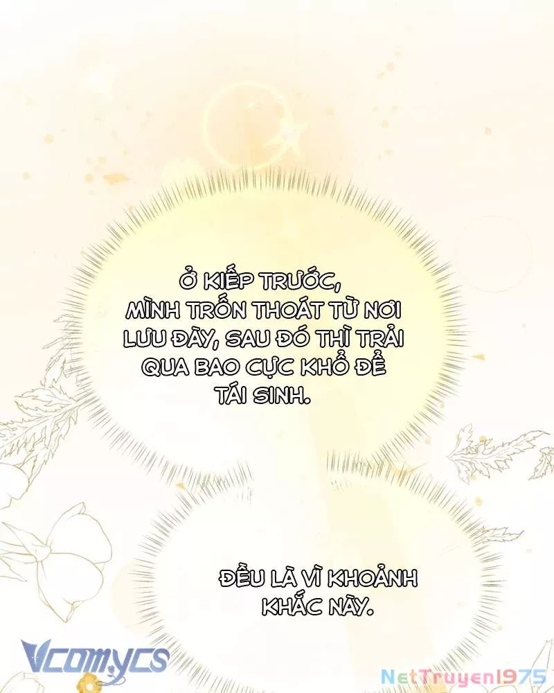 Cô Ấy Sẽ Thuần Hóa Các Anh Hùng: Chapter 5