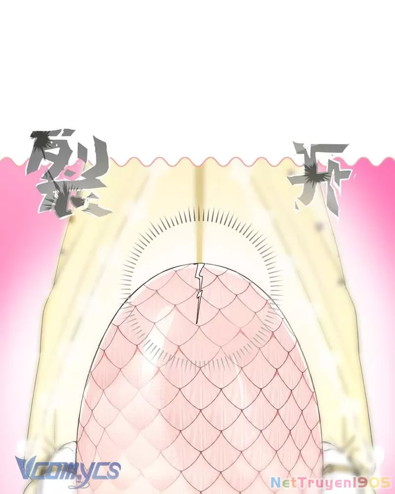 Cô Ấy Sẽ Thuần Hóa Các Anh Hùng: Chapter 6