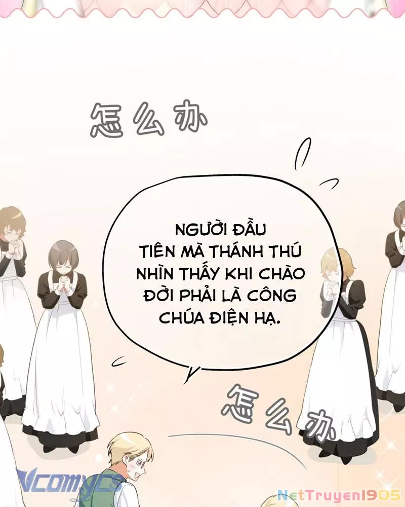 Cô Ấy Sẽ Thuần Hóa Các Anh Hùng: Chapter 6
