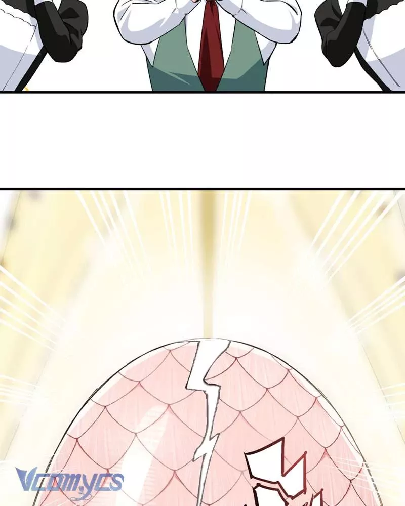 Cô Ấy Sẽ Thuần Hóa Các Anh Hùng: Chapter 6