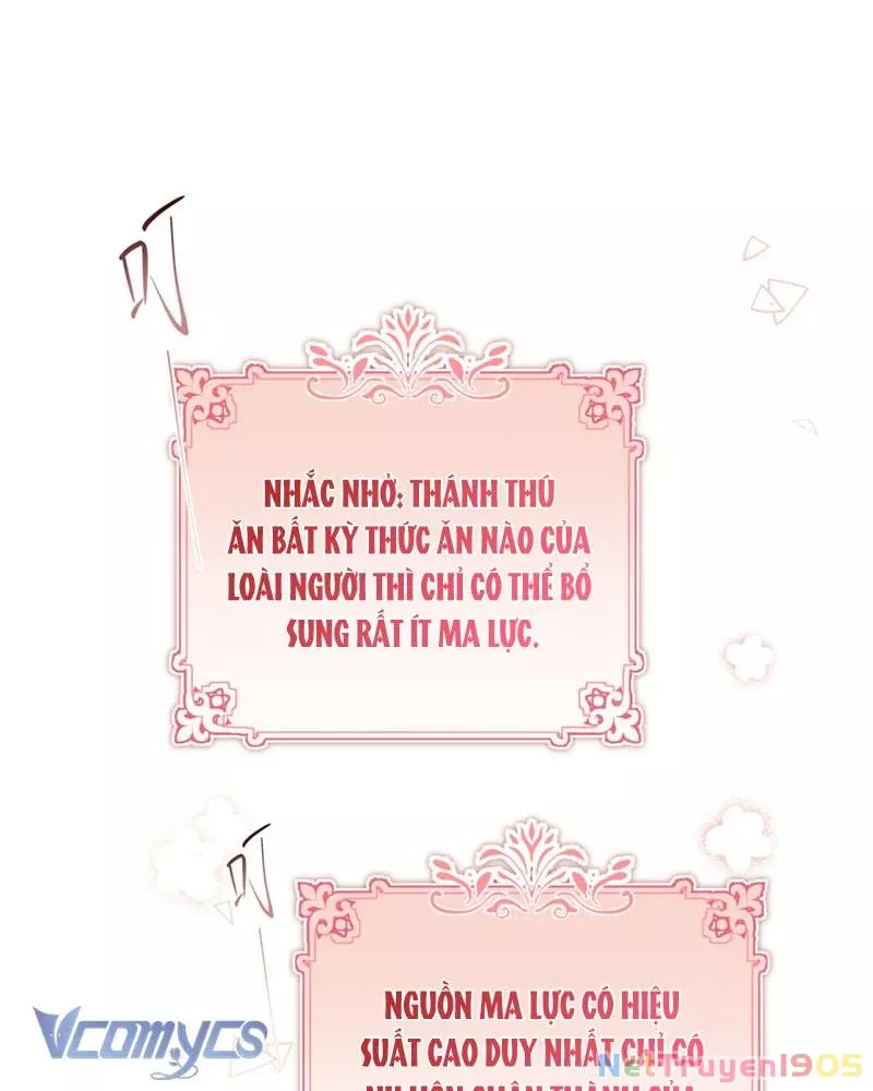 Cô Ấy Sẽ Thuần Hóa Các Anh Hùng: Chapter 7