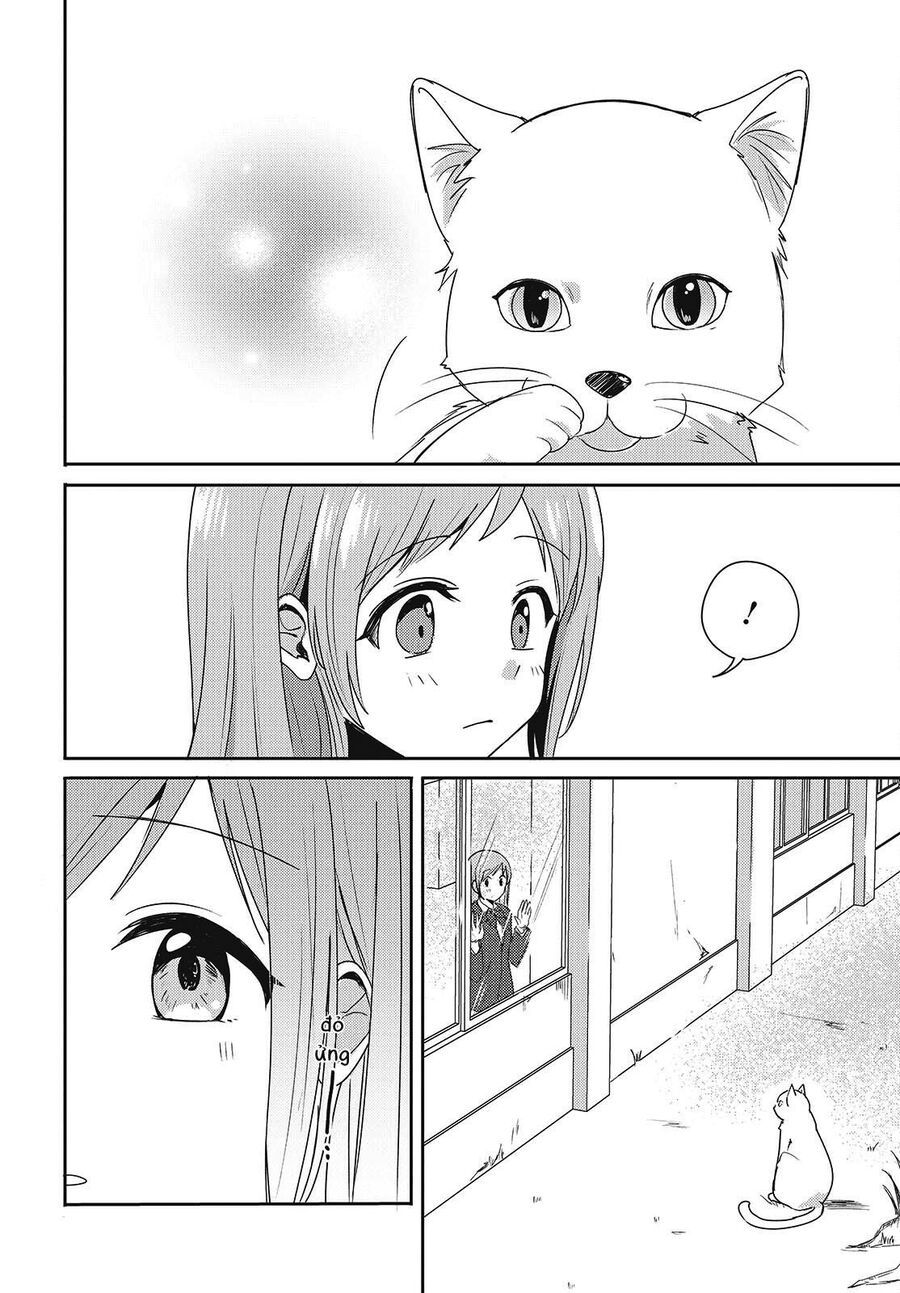 Cô Bản Thuở Nhỏ Kêu Meo Dưới Váy Của Tôi: Chapter 1