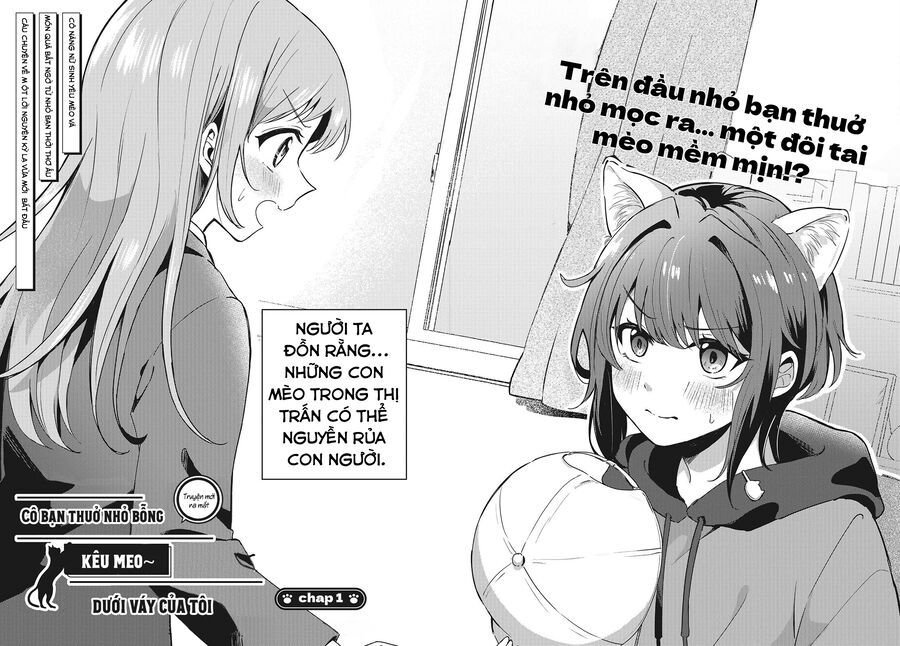 Cô Bản Thuở Nhỏ Kêu Meo Dưới Váy Của Tôi: Chapter 1