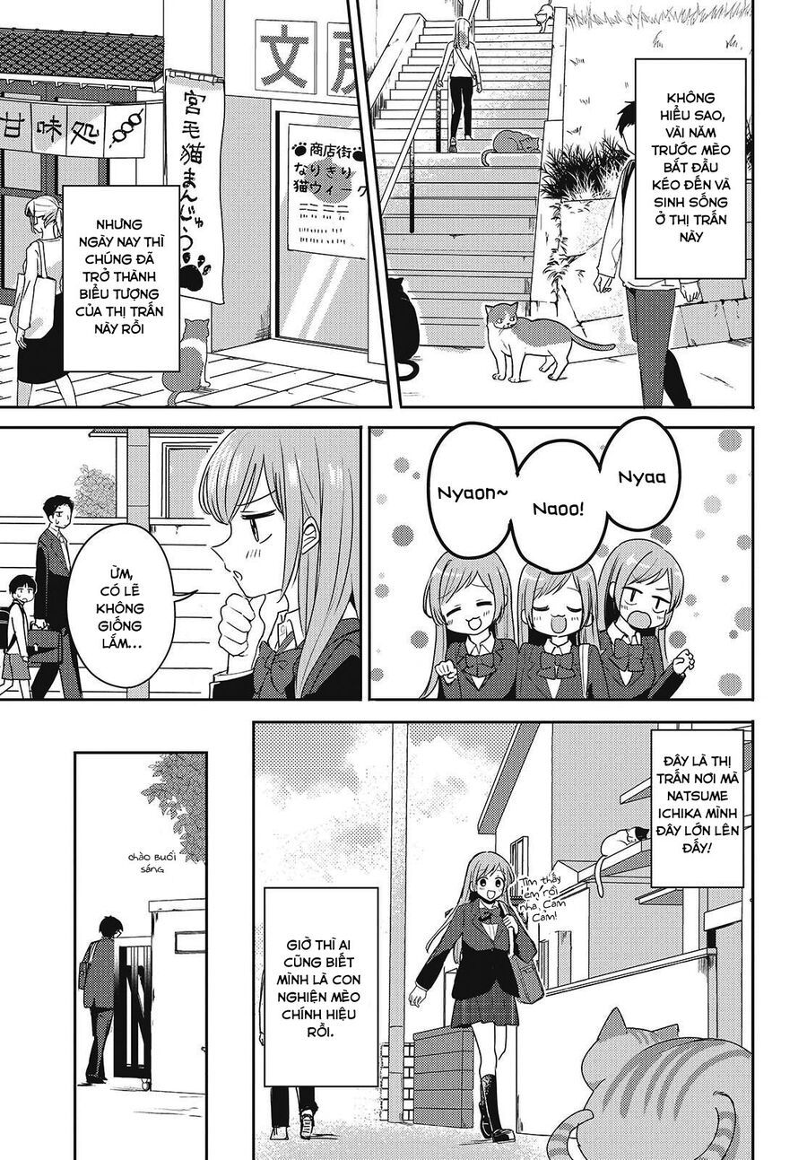 Cô Bản Thuở Nhỏ Kêu Meo Dưới Váy Của Tôi: Chapter 1