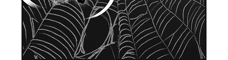 Cổ Chân Nhân (Bản Mới): Chapter 2