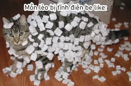 Cô Nàng Mèo Ngủ Gật Và Chàng Trai Hướng Nội: Chapter 21.5