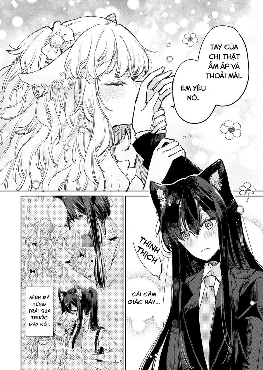 Công Chúa Cừu Trong Lốt Sói: Chapter 13
