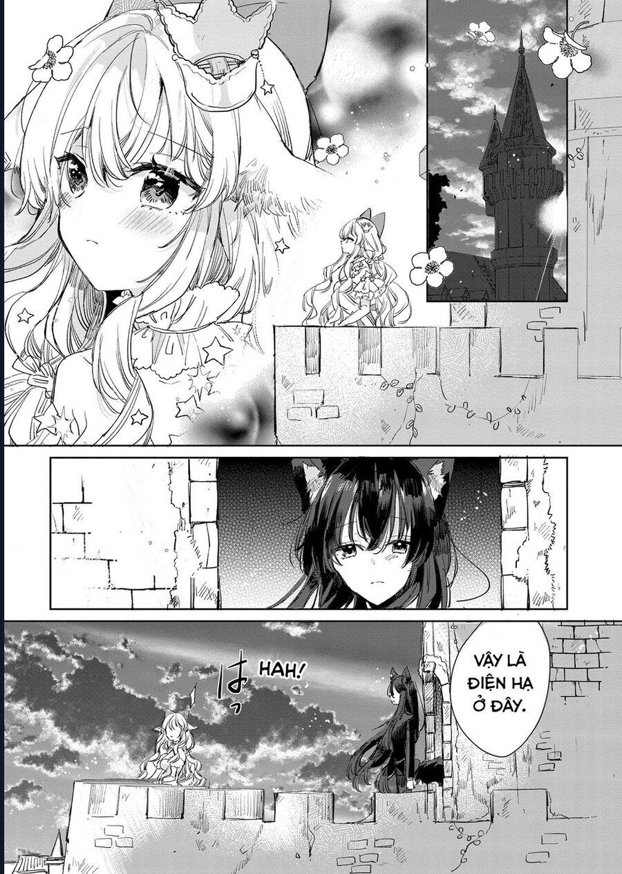 Công Chúa Cừu Trong Lốt Sói: Chapter 17