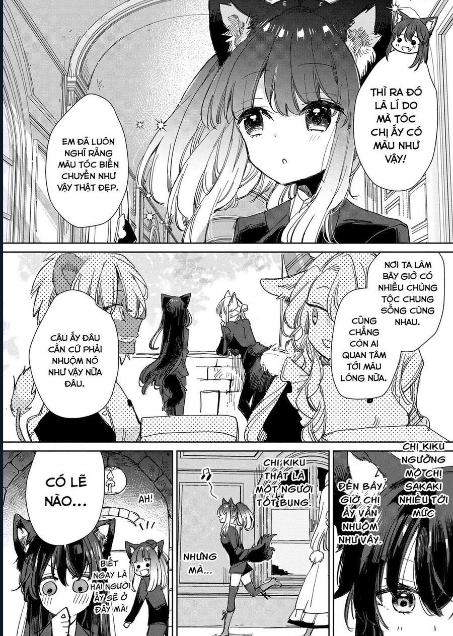 Công Chúa Cừu Trong Lốt Sói: Chapter 19