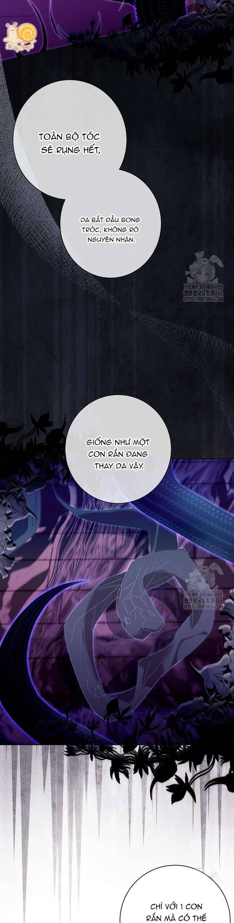 Công Nương Tái Sinh: Chapter 24