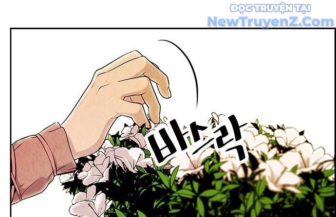 Cửa Hàng Đồ Cổ Tương Lai: Chapter 1