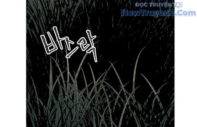 Cửa Hàng Đồ Cổ Tương Lai: Chapter 1