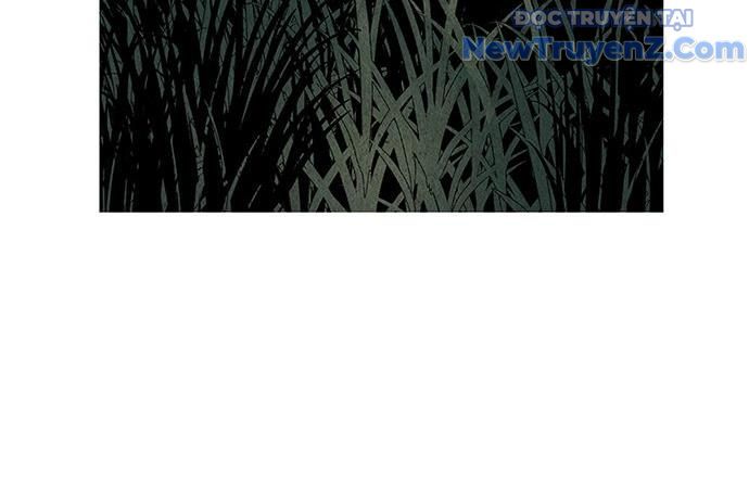 Cửa Hàng Đồ Cổ Tương Lai: Chapter 1