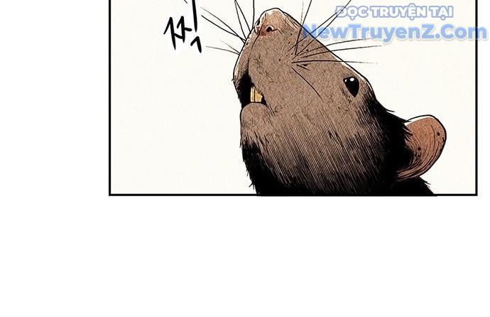 Cửa Hàng Đồ Cổ Tương Lai: Chapter 1