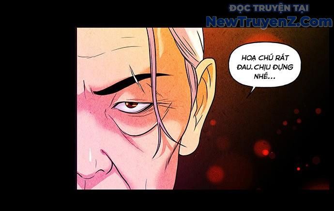 Cửa Hàng Đồ Cổ Tương Lai: Chapter 10