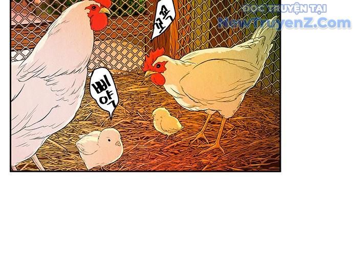 Cửa Hàng Đồ Cổ Tương Lai: Chapter 11