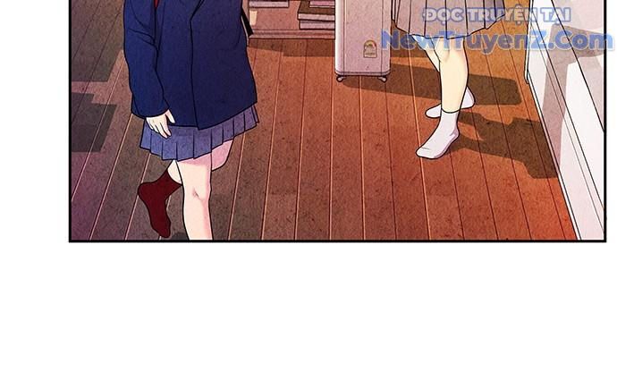 Cửa Hàng Đồ Cổ Tương Lai: Chapter 12