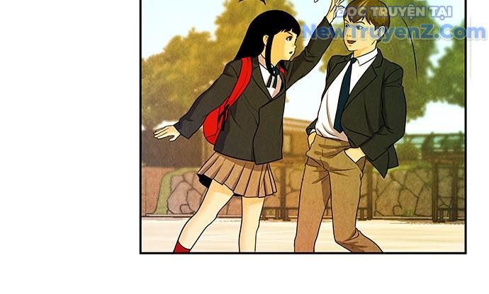 Cửa Hàng Đồ Cổ Tương Lai: Chapter 12