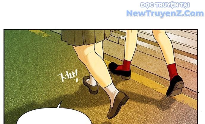 Cửa Hàng Đồ Cổ Tương Lai: Chapter 12