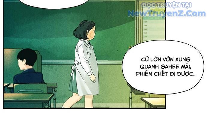 Cửa Hàng Đồ Cổ Tương Lai: Chapter 13