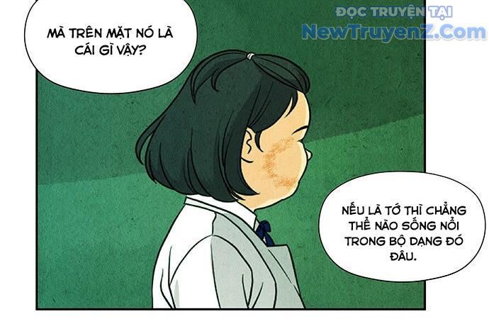 Cửa Hàng Đồ Cổ Tương Lai: Chapter 13