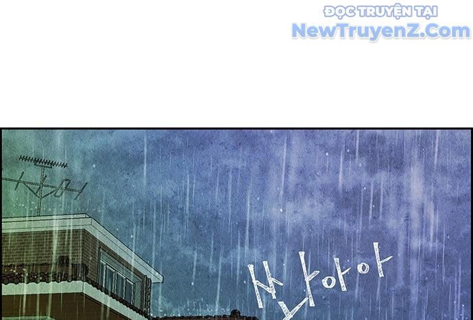 Cửa Hàng Đồ Cổ Tương Lai: Chapter 13