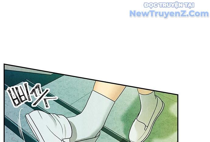 Cửa Hàng Đồ Cổ Tương Lai: Chapter 13