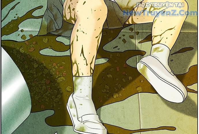 Cửa Hàng Đồ Cổ Tương Lai: Chapter 13