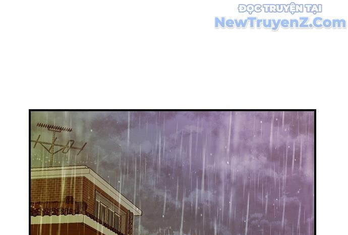 Cửa Hàng Đồ Cổ Tương Lai: Chapter 13