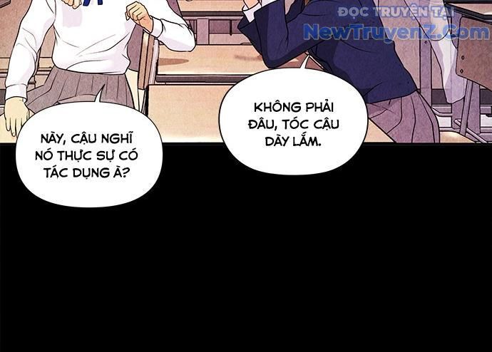Cửa Hàng Đồ Cổ Tương Lai: Chapter 14