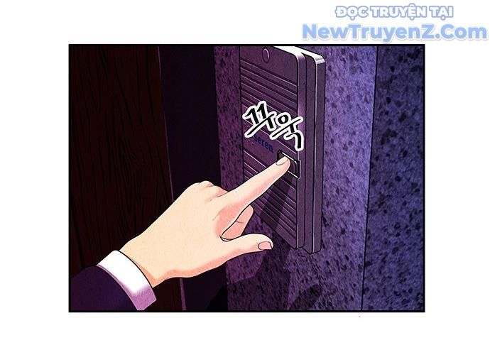 Cửa Hàng Đồ Cổ Tương Lai: Chapter 15