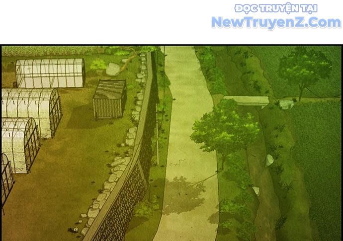 Cửa Hàng Đồ Cổ Tương Lai: Chapter 15
