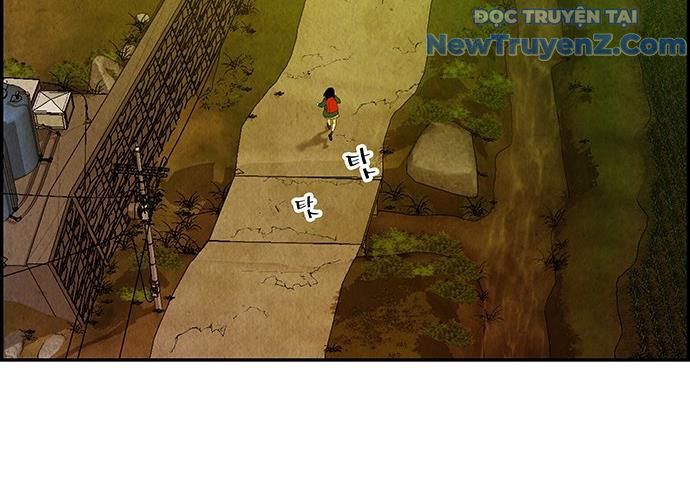 Cửa Hàng Đồ Cổ Tương Lai: Chapter 15