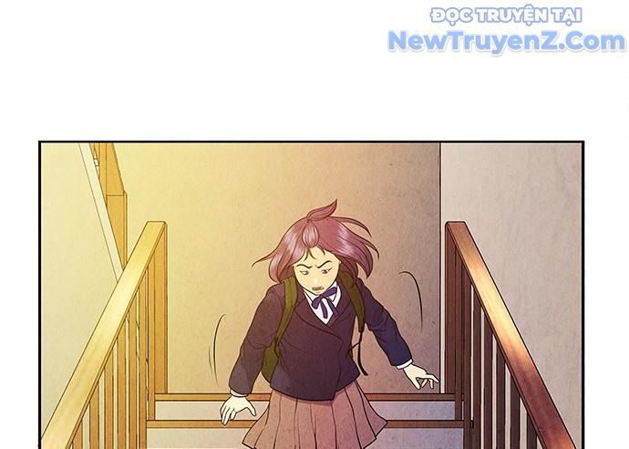 Cửa Hàng Đồ Cổ Tương Lai: Chapter 17