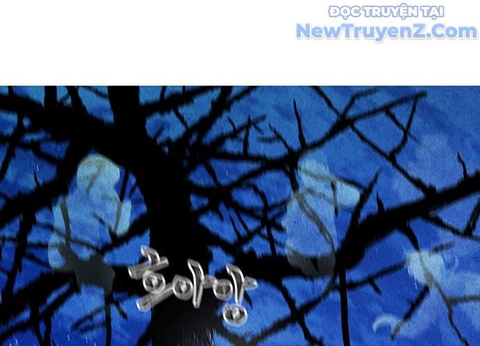 Cửa Hàng Đồ Cổ Tương Lai: Chapter 2
