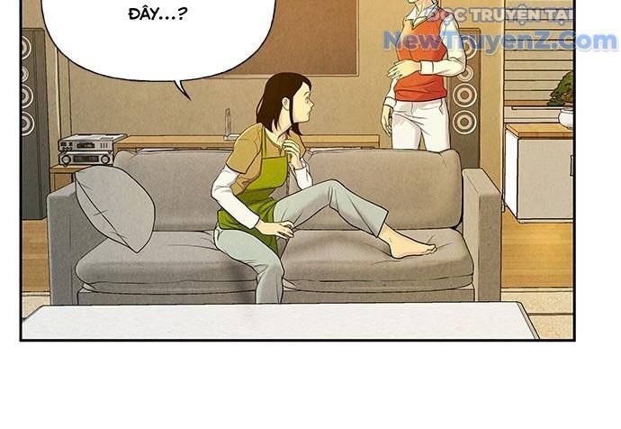 Cửa Hàng Đồ Cổ Tương Lai: Chapter 20