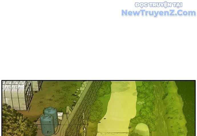 Cửa Hàng Đồ Cổ Tương Lai: Chapter 20