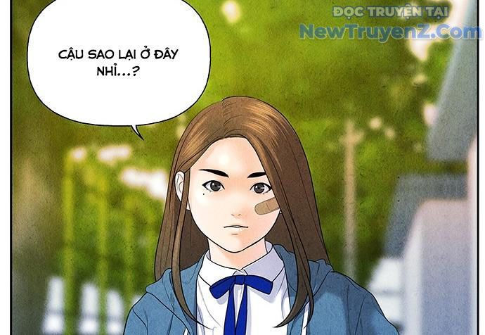 Cửa Hàng Đồ Cổ Tương Lai: Chapter 20