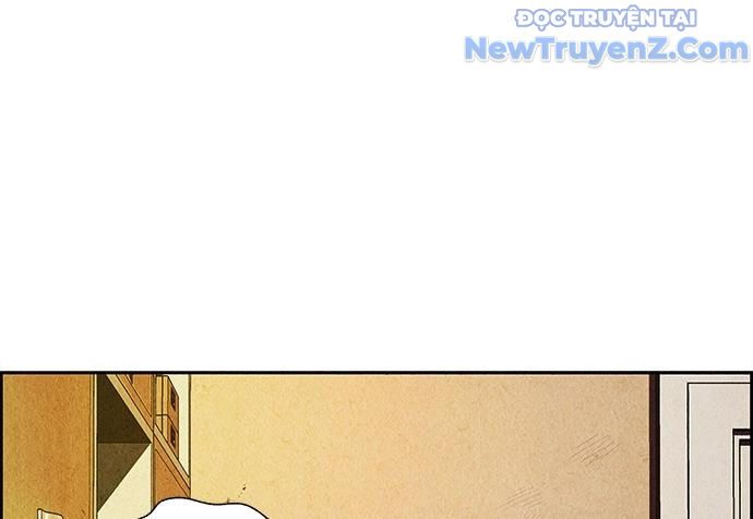 Cửa Hàng Đồ Cổ Tương Lai: Chapter 20