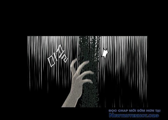 Cửa Hàng Đồ Cổ Tương Lai: Chapter 33