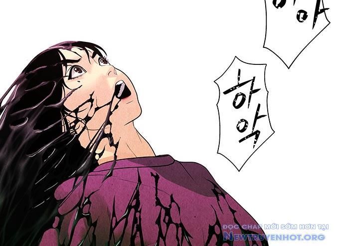 Cửa Hàng Đồ Cổ Tương Lai: Chapter 33