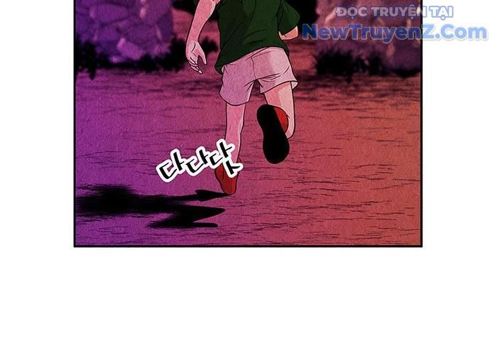 Cửa Hàng Đồ Cổ Tương Lai: Chapter 5