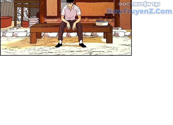 Cửa Hàng Đồ Cổ Tương Lai: Chapter 5