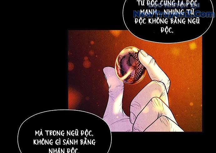 Cửa Hàng Đồ Cổ Tương Lai: Chapter 9
